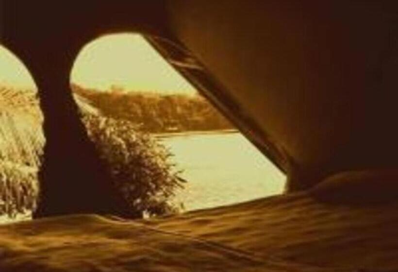 高级大房间, Laster Jony S