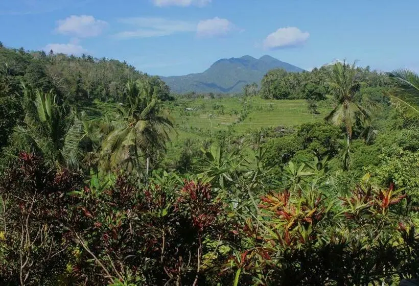 スタンダードルーム, Pondok Lembah Dukuh Homestay
