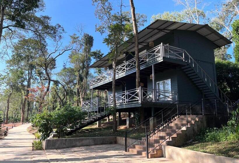 标准间, Machaan Wilderness Lodge Nagarahole