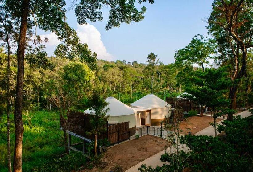 كوخ قياسي, Machaan Wilderness Lodge Nagarahole