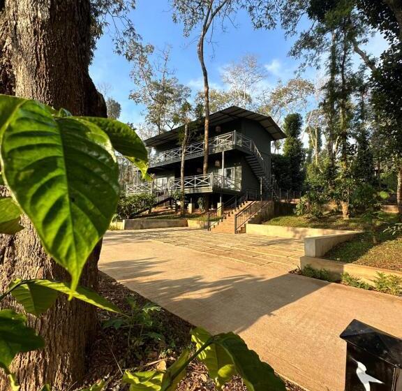 标准间, Machaan Wilderness Lodge Nagarahole
