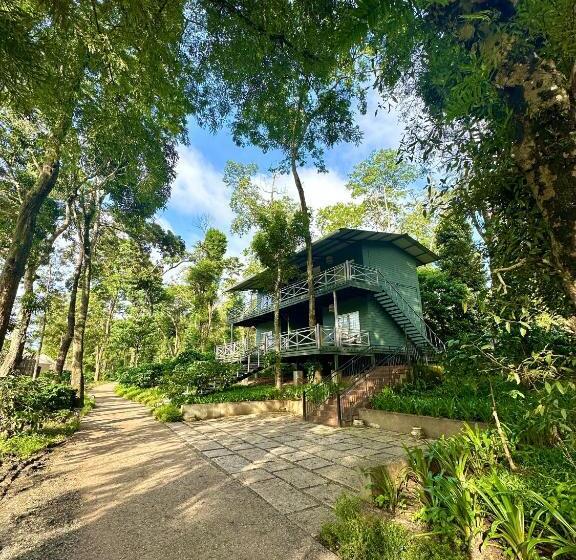 标准间, Machaan Wilderness Lodge Nagarahole