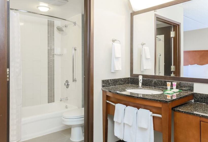 ２ダブルベッドのスタンダードルーム, Hyatt Place Dallas/grapevine