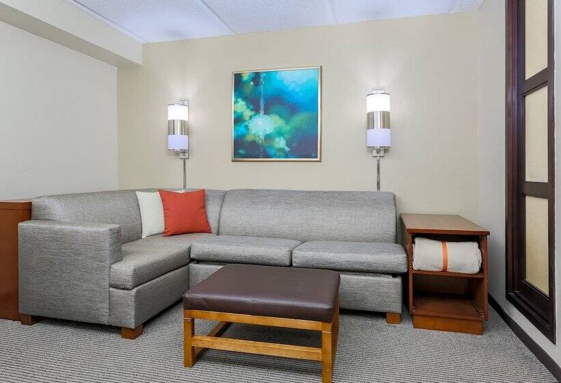 חדר סטנדרט מיטה זוגית, Hyatt Place Dallas/grapevine