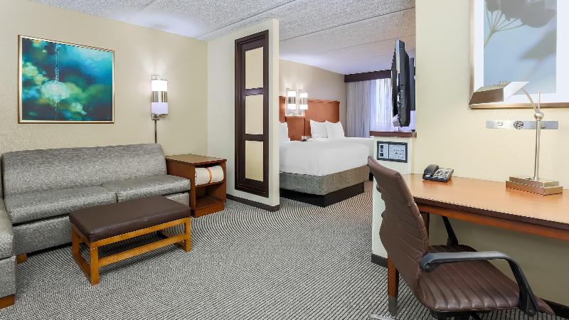 スタンダードルーム, Hyatt Place Dallas/grapevine