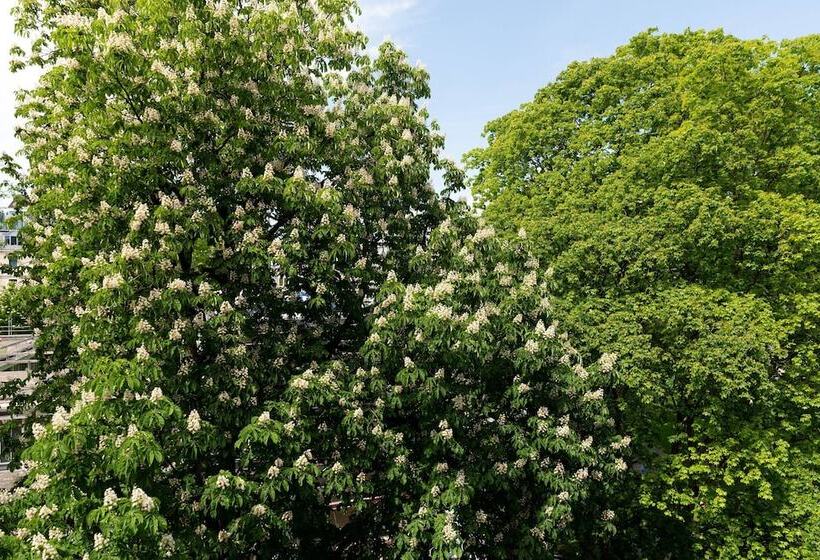 豪华工作室, The Hotel Lucerne, Autograph Collection