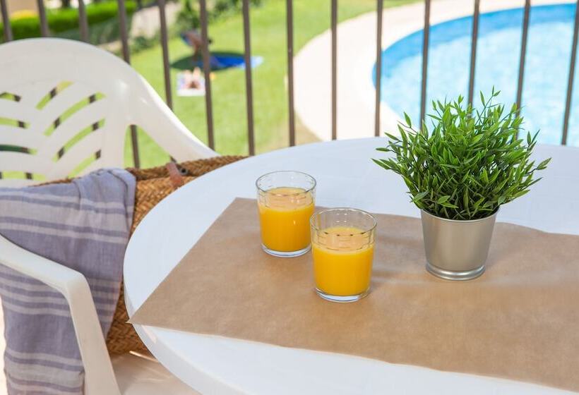 شقة غرفة واحدة, Rvapartaments Club Torrevella