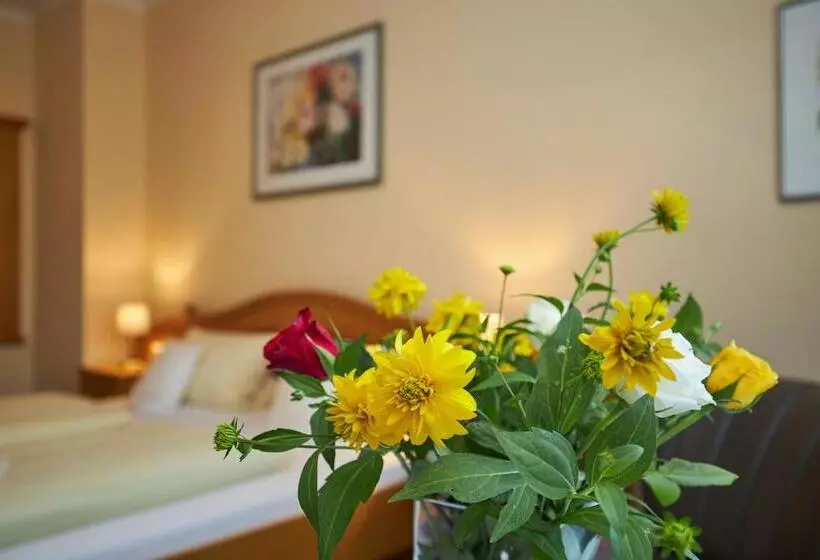 スタンダードシングルルーム, Flairhotel Hubertus