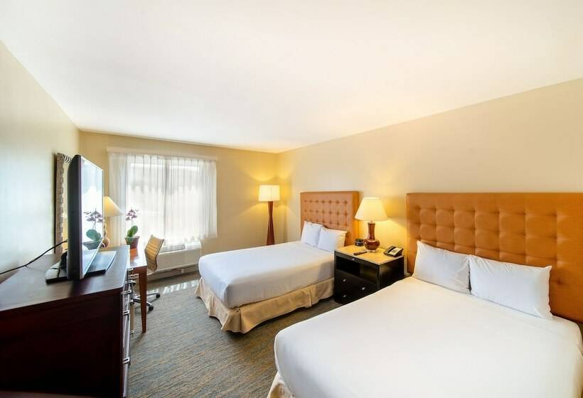 חדר סטנדרט שתי מיטות זוגיות, Four Points San Jose Costa Rica