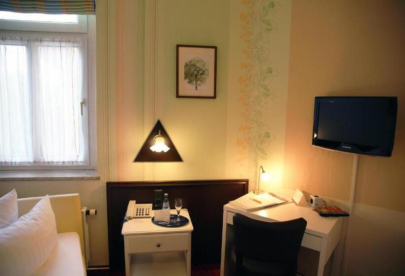 이코노미 싱글 룸, Alt Connewitz