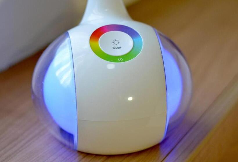 이코노미 싱글 룸, Alt Connewitz