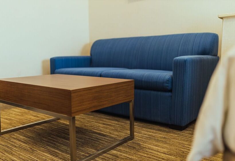 סוויטה, Holiday Inn Express Davis University Area, An Ihg