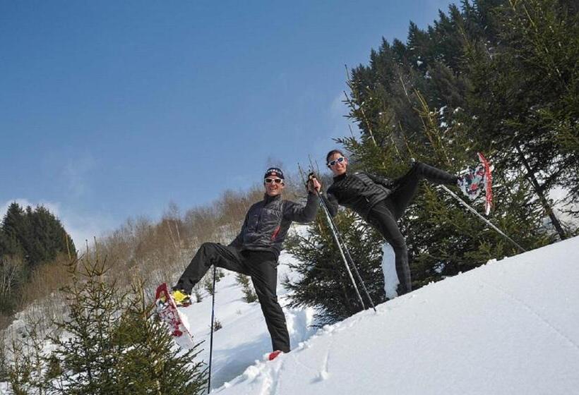 Номер Economy, Hôtel Les Triolets