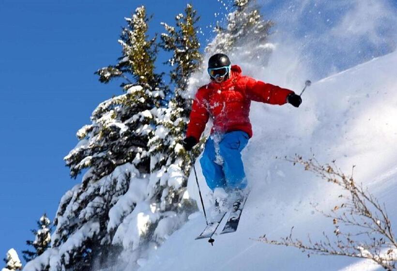 غرفة أساسية فردية, Hôtel Les Triolets