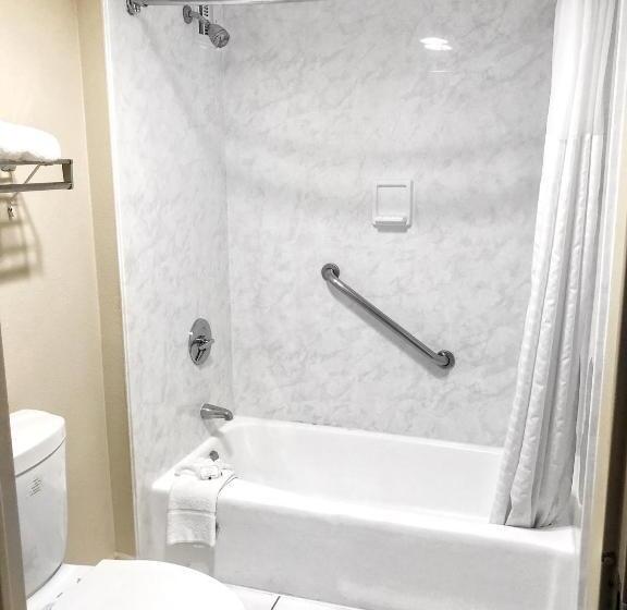 스탠다드 룸 킹사이즈 침대, Quality Inn Riverside Near Ucr And Downtown