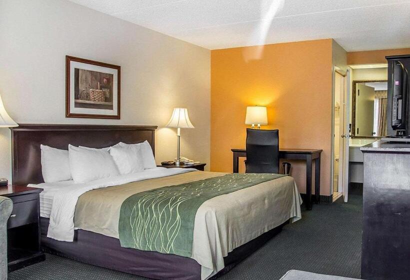 스탠다드 룸 킹사이즈 침대, Quality Inn Riverside Near Ucr And Downtown