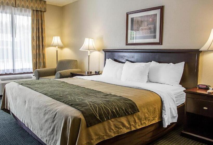 스탠다드 룸 킹사이즈 침대, Quality Inn Riverside Near Ucr And Downtown