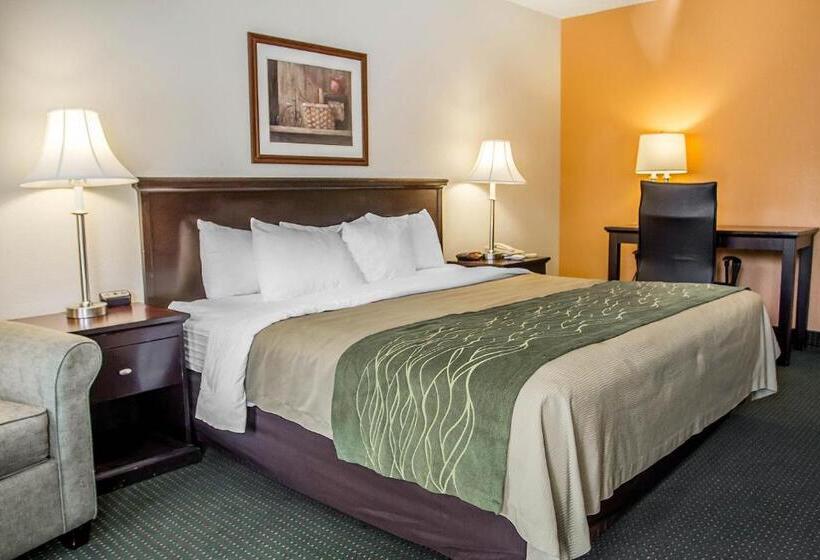 스탠다드 룸 킹사이즈 침대, Quality Inn Riverside Near Ucr And Downtown