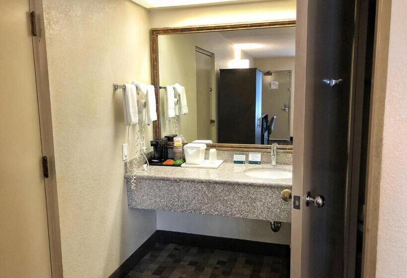 장애인을 위한 킹사이즈 침대 스탠다드 룸, Quality Inn Riverside Near Ucr And Downtown