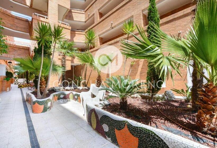 דירת שני חדרים, Torremar Cm