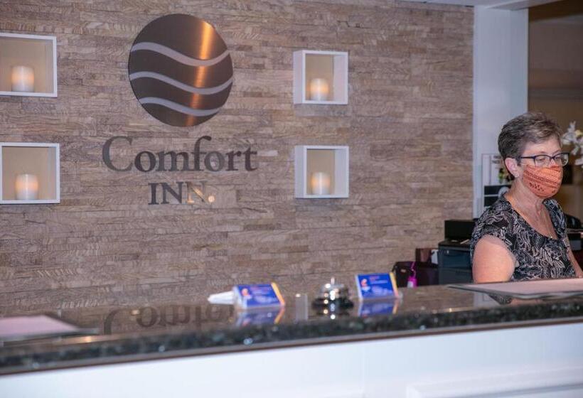 غرفه قياسيه سريرين مزدوجين, Comfort Inn Oceanside Deerfield Beach
