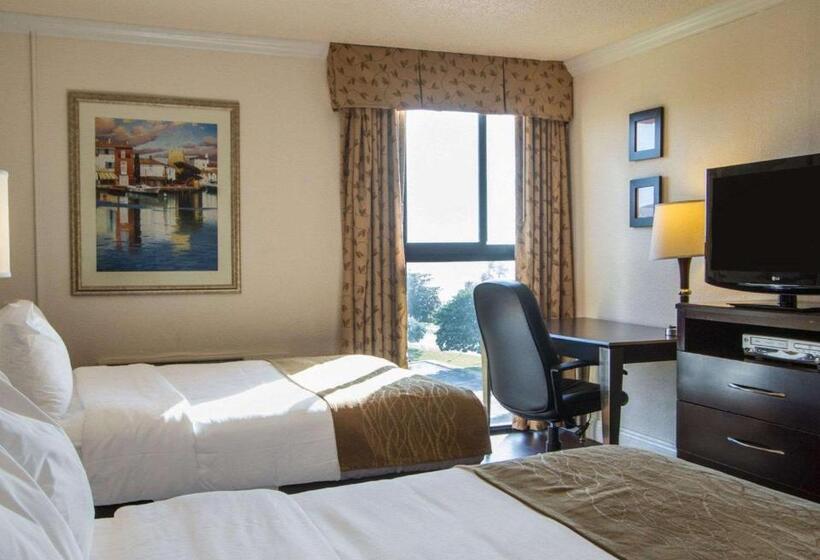 غرفه قياسيه سريرين مزدوجين, Comfort Inn Oceanside Deerfield Beach