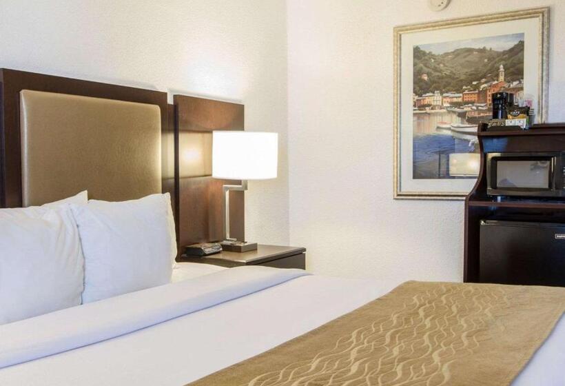غرفة قياسية سرير كينج, Comfort Inn Oceanside Deerfield Beach