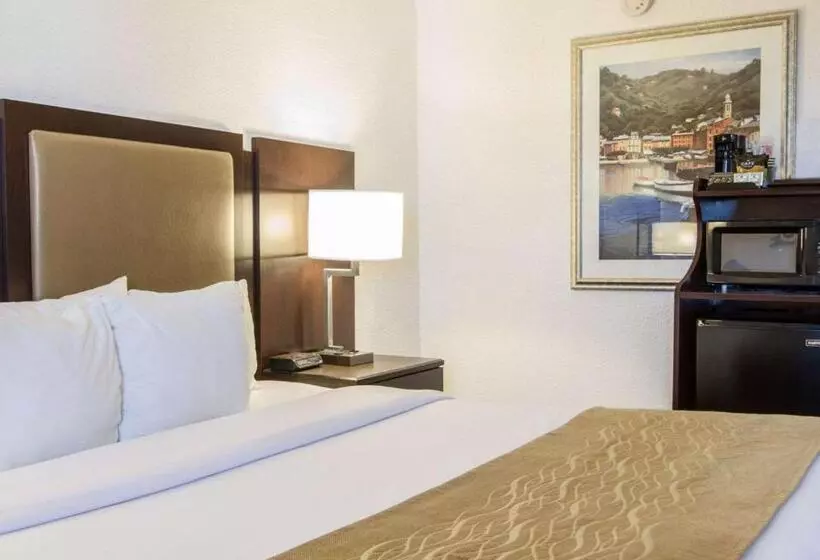 キングサイズベッドのスタンダードルーム, Comfort Inn Oceanside Deerfield Beach