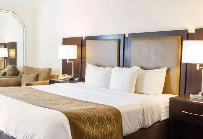 キングサイズベッドのスタンダードルーム, Comfort Inn Oceanside Deerfield Beach