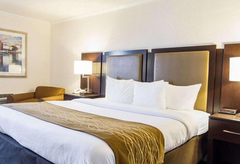 غرفة قياسية سرير كينج, Comfort Inn Oceanside Deerfield Beach