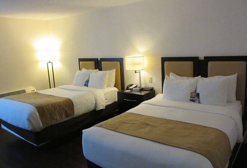 غرفه قياسيه سريرين مزدوجين, Comfort Inn Oceanside Deerfield Beach