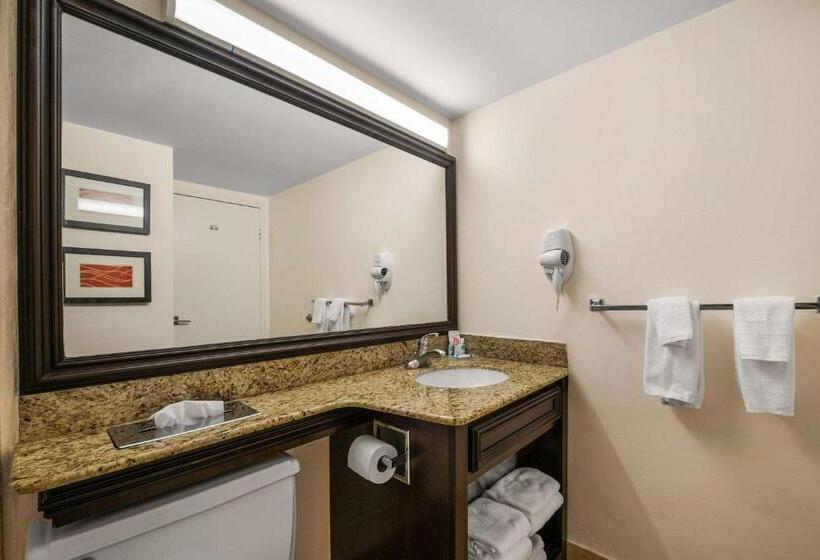 غرفه قياسيه سريرين مزدوجين, Comfort Inn Oceanside Deerfield Beach