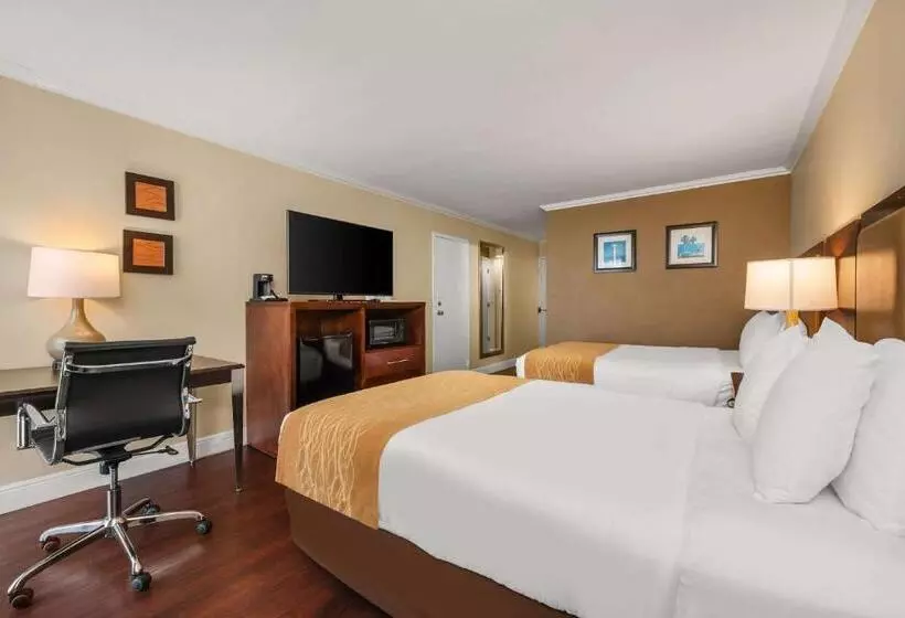 ２ダブルベッドのスタンダードルーム, Comfort Inn Oceanside Deerfield Beach