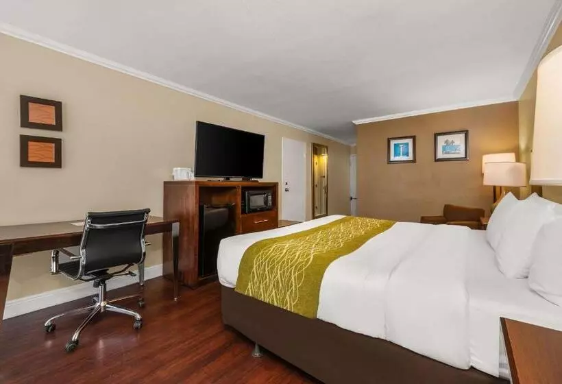 キングサイズベッドのスタンダードルーム, Comfort Inn Oceanside Deerfield Beach