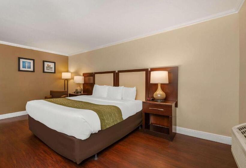 غرفة قياسية سرير كينج, Comfort Inn Oceanside Deerfield Beach