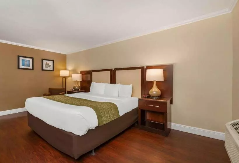 キングサイズベッドのスタンダードルーム, Comfort Inn Oceanside Deerfield Beach
