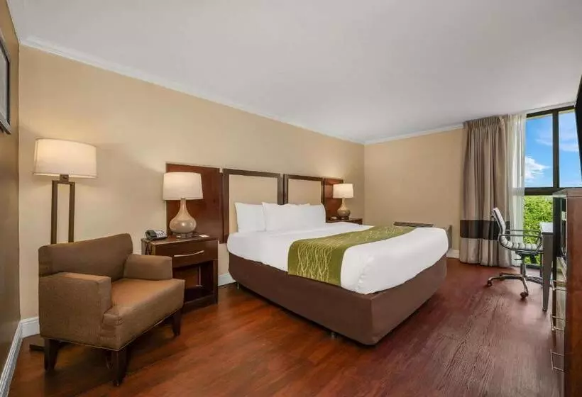 キングサイズベッドのスタンダードルーム, Comfort Inn Oceanside Deerfield Beach