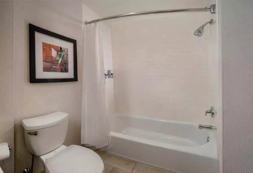 スタンダードルーム, Four Points By Sheraton Newark Christiana Wilmington