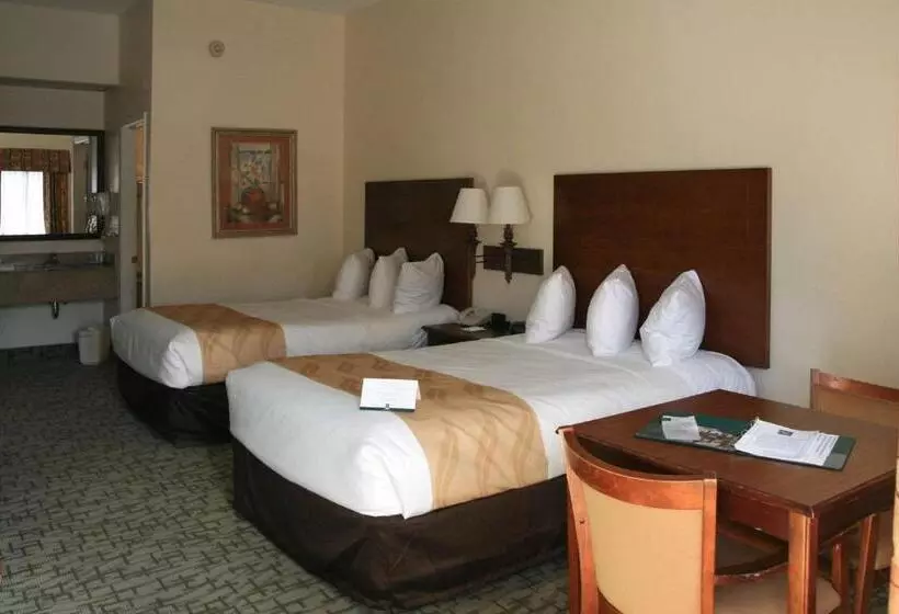 デラックスルーム, Quality Inn Weeki Wachee Spring Hill