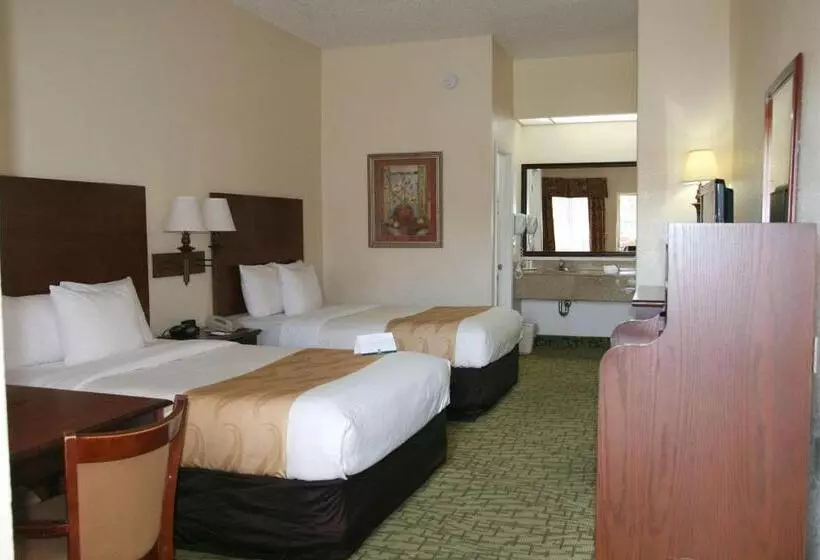 デラックスルーム, Quality Inn Weeki Wachee Spring Hill