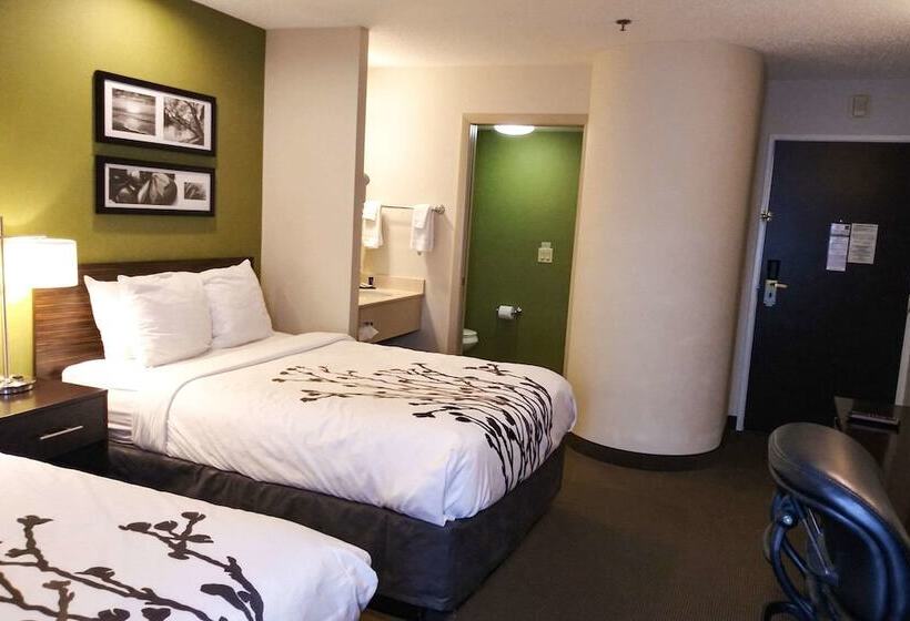 غرفه قياسيه سريرين مزدوجين, Sleep Inn & Suites