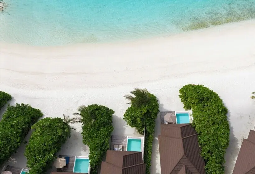 ویلای یک اتاق خوابه با استخر شنا, Sun Siyam Olhuveli