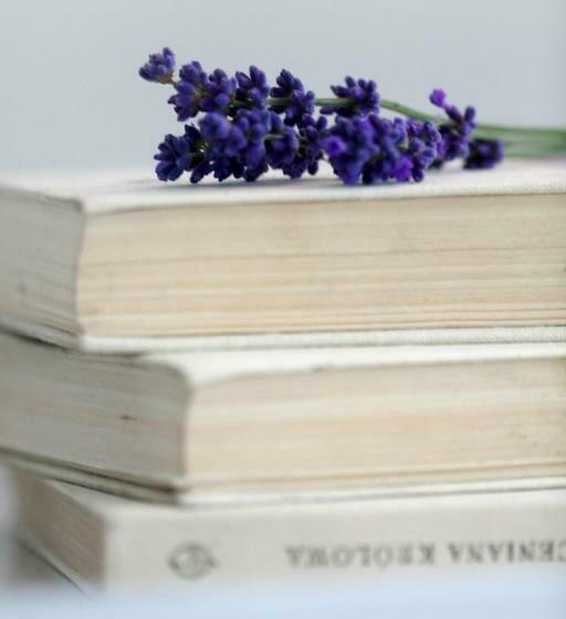 جناح جونيور مزوَّد بشرفة, Kashubian Lodge & Spa