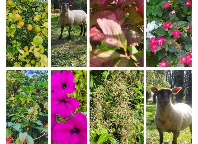 غرفة ديلوكس عائلية, Hostellerie Sarrasine  Macon Est