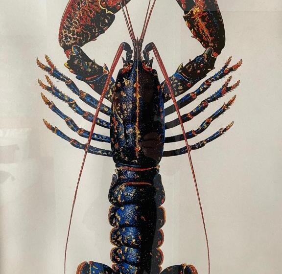 غرفة كومفورت مطلة علي البحر, Hôtel L Albatros