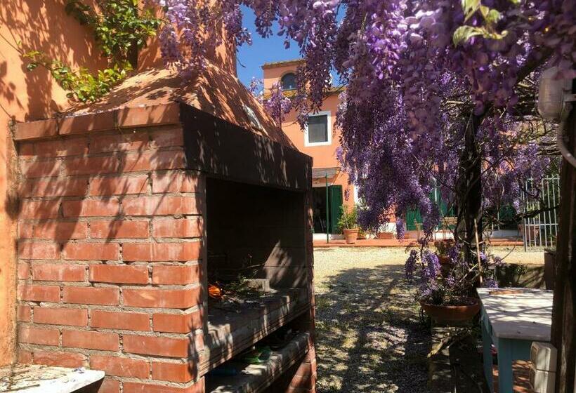 Апартаменты Superior 2 Спальни, Agriturismo Podere Marchiano
