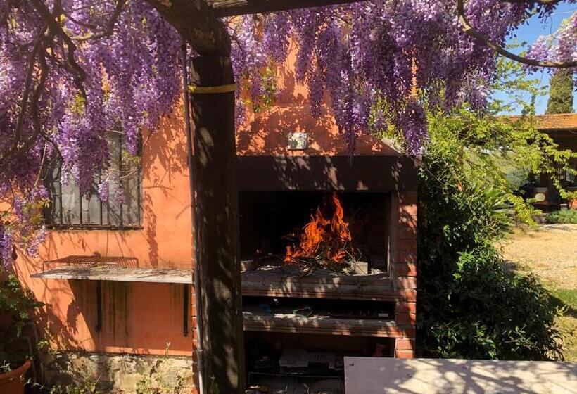 Апартаменты Superior 2 Спальни, Agriturismo Podere Marchiano