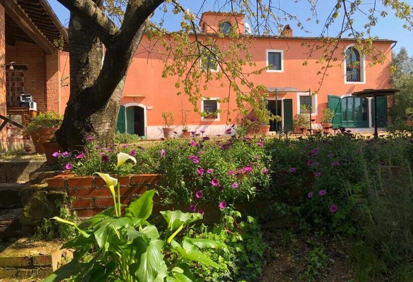 Апартаменты Deluxe 1 Спальня, Agriturismo Podere Marchiano