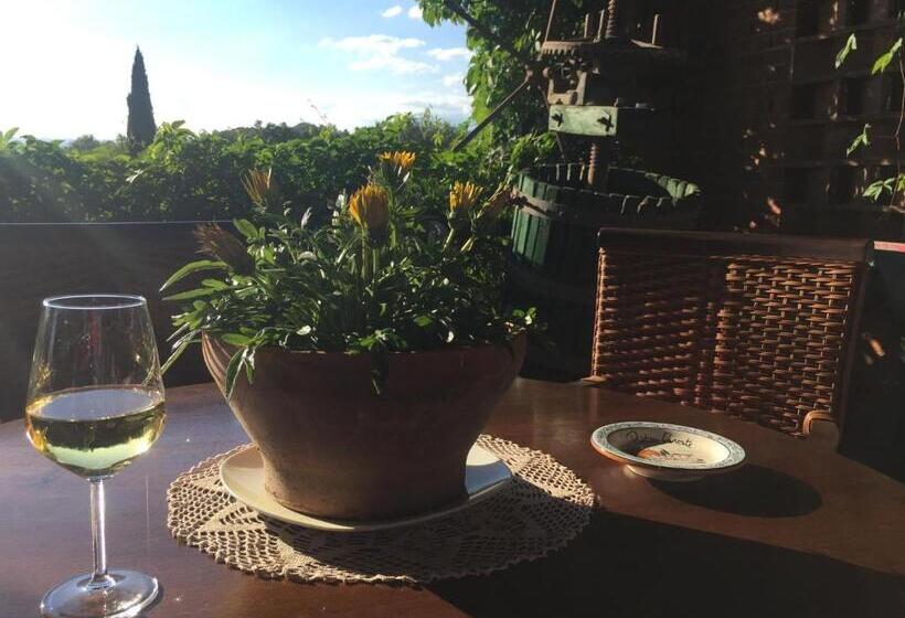 Апартаменты Deluxe 1 Спальня, Agriturismo Podere Marchiano