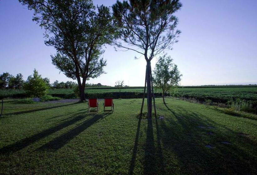 اتاق استاندارد, Ca  Adami